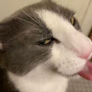 Meet your Posher, Jade